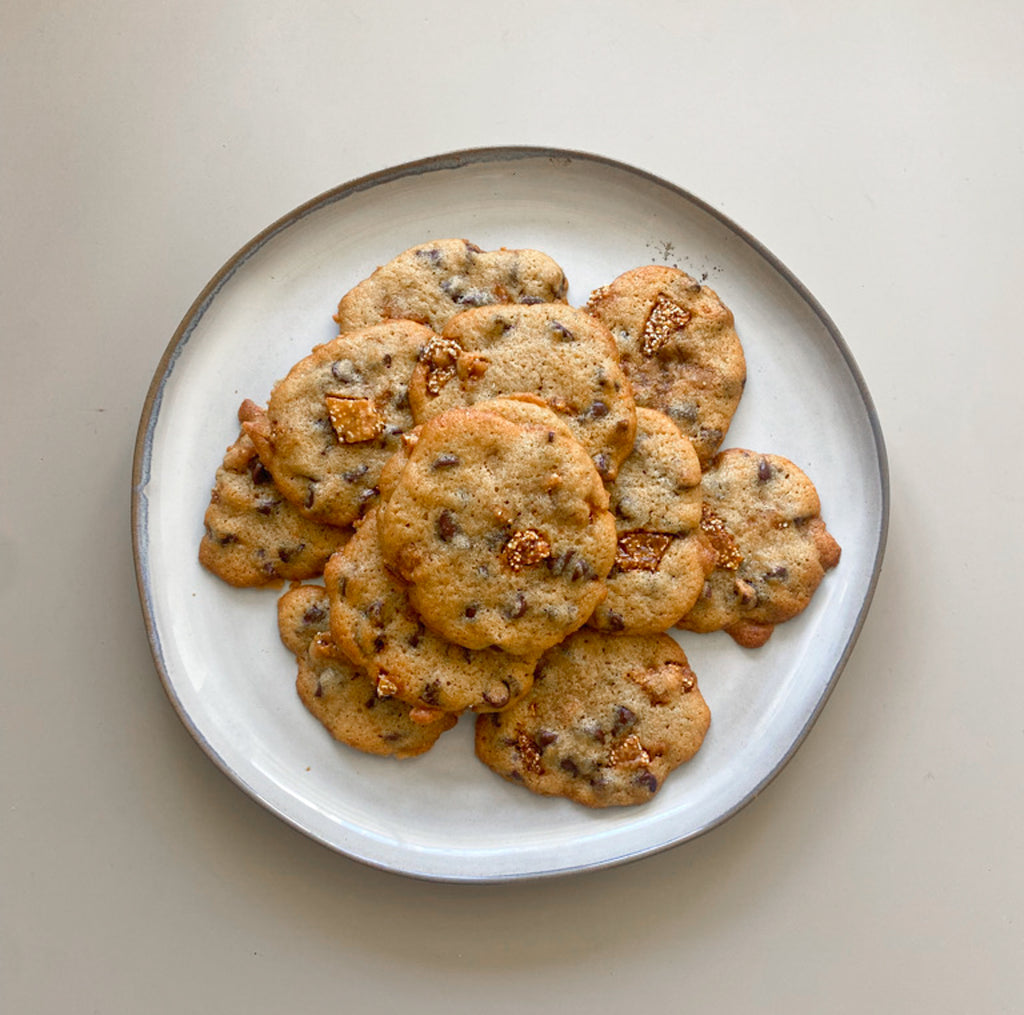 Mealworm Toffee + Chocolate Chip Cookies