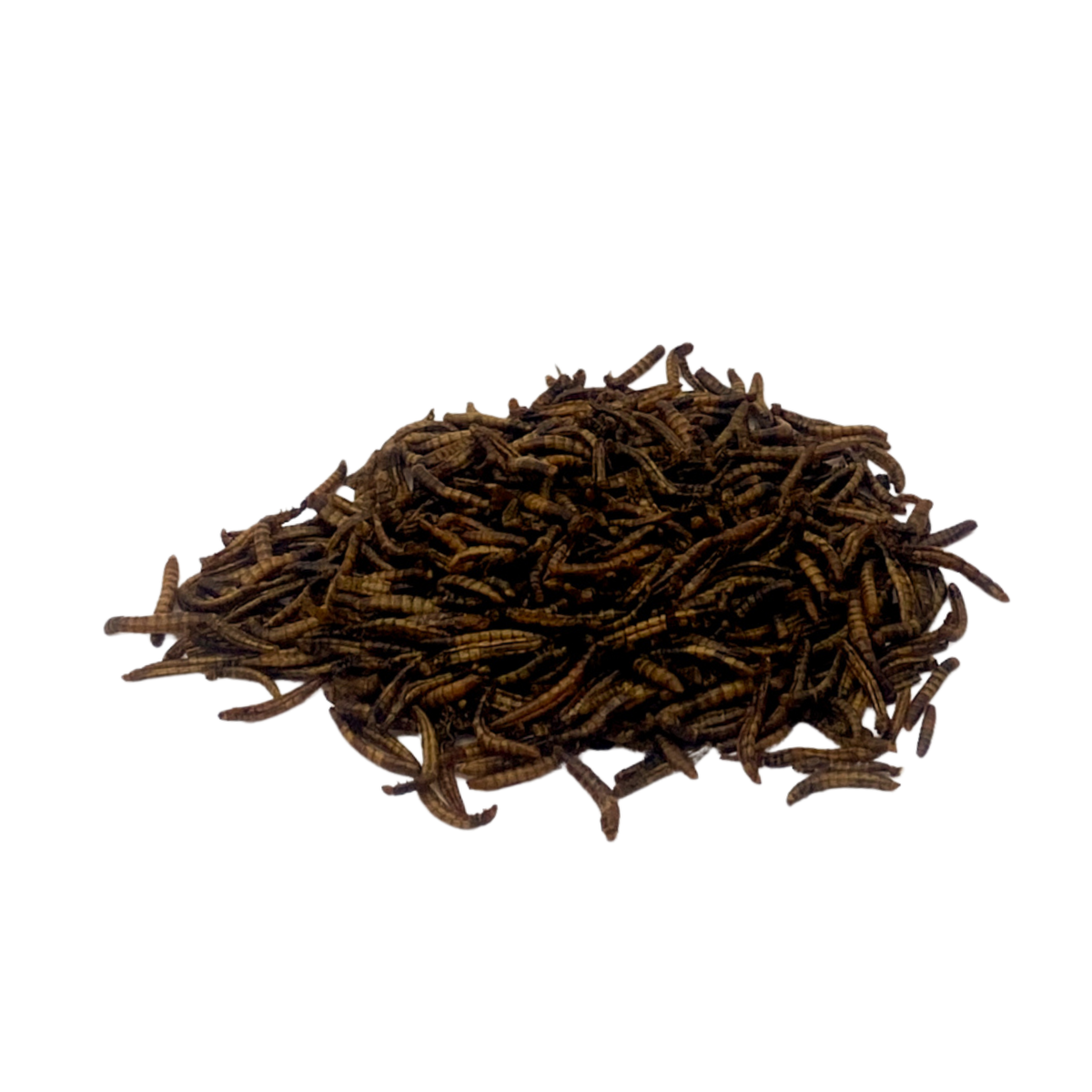 ORGANIC TOASTED MEALWORMS Don Bugito