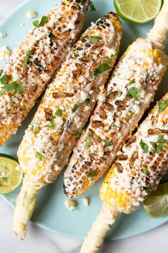 Fall Elotes