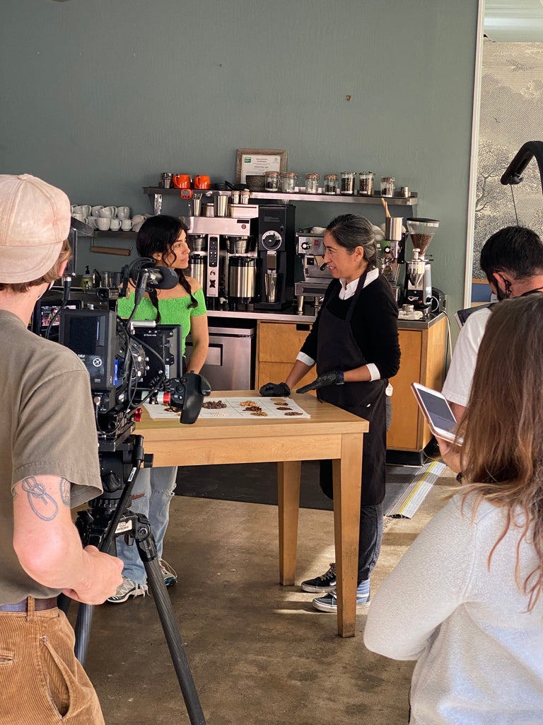 Don Bugito Tasty Insects Snacks - Sustainable Protein Snacks