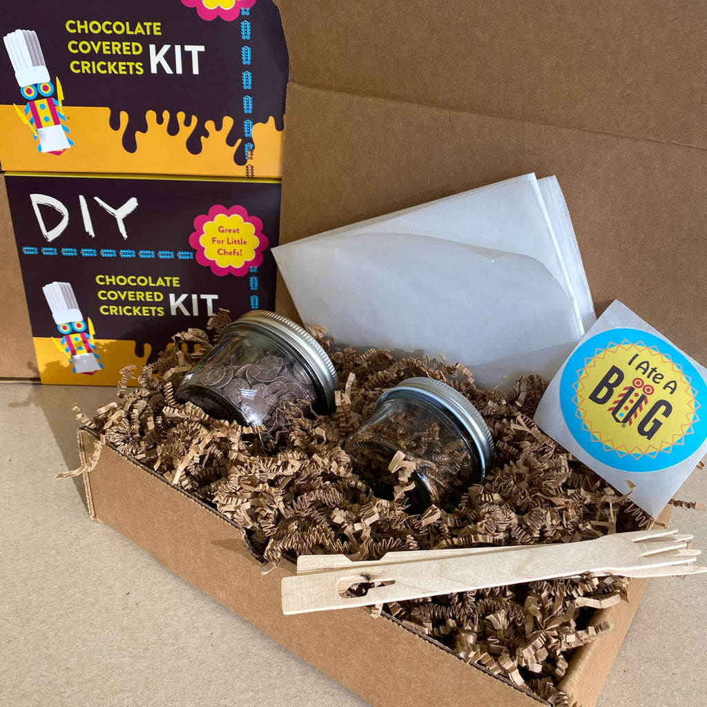 DIY Chocolate Covered Crickets KIT